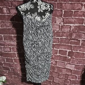 Wild Fable Zebra Print Women's Dress NWT